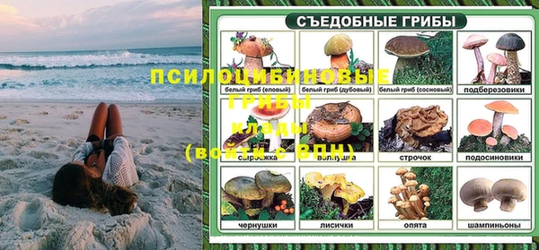 трава Богданович