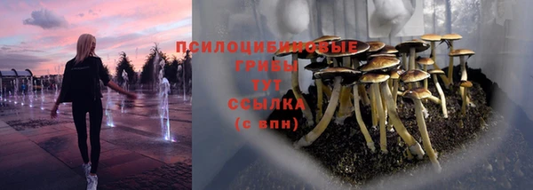 таблы Богородицк
