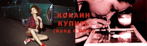 трава Богданович