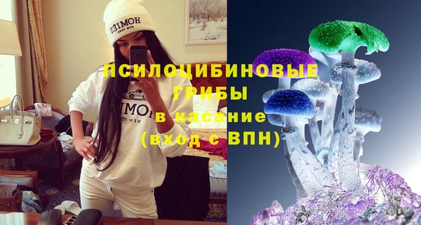 таблы Богородицк
