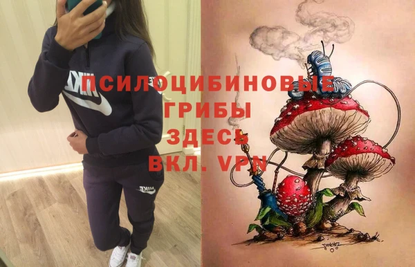 mix Богородск