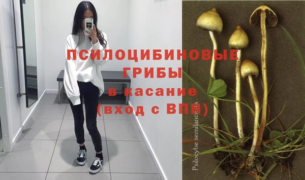 таблы Богородицк