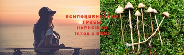трава Богданович