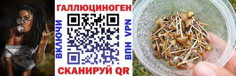 Галлюциногенные грибы Magic Shrooms  Козловка 